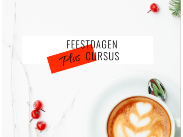 Feestdagen Plus Cursus course image