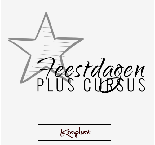 Feestdagen Plus Cursus course image